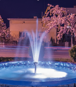 Signs You Need a Replacement Fountain Pump (And What to Buy Next)