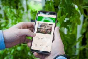 How Repeated Rainfall Affects Transitions Between Different oof Sections